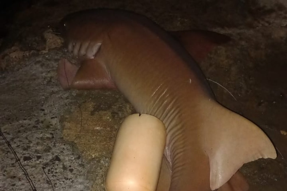 Reacción irracional en San Andrés