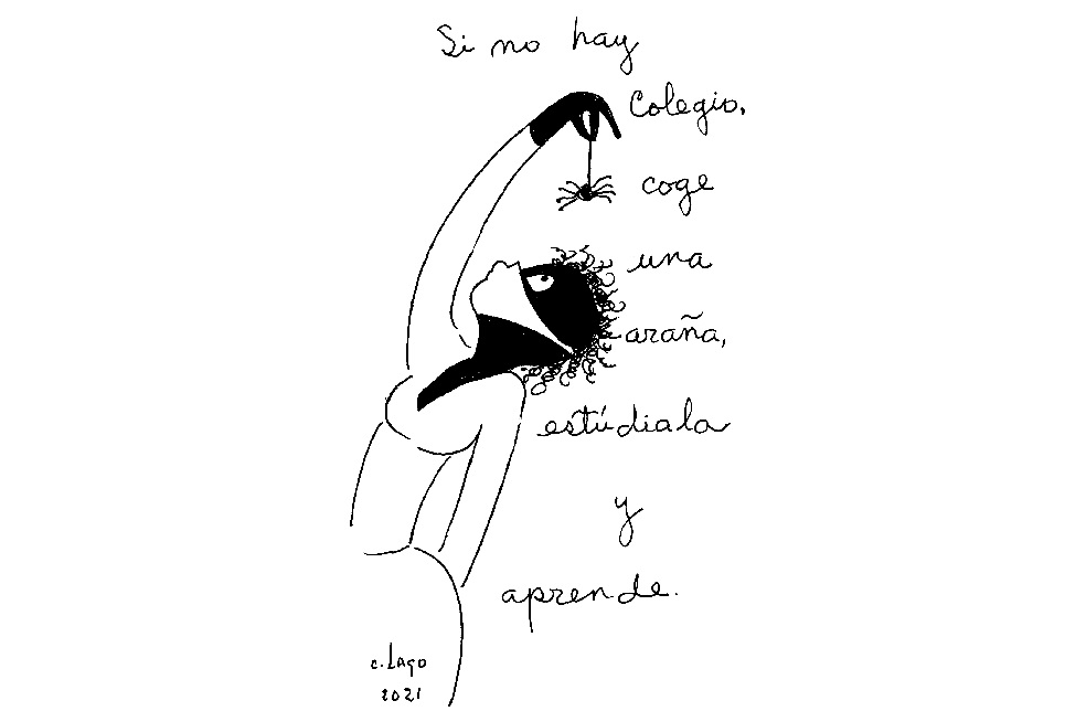 Nieves