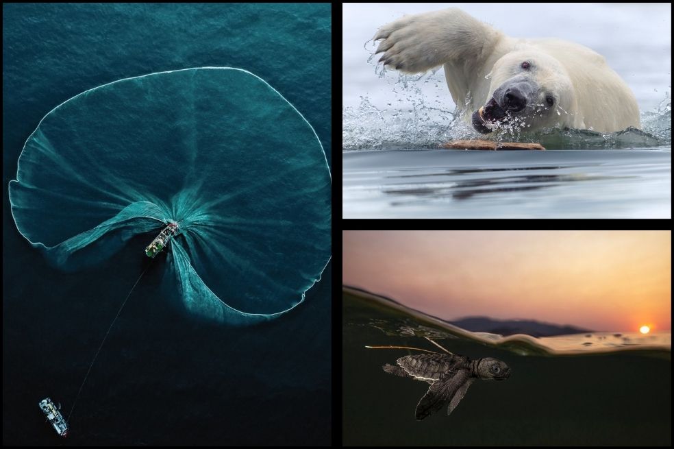 World Nature Photography 2025: las imágenes más sorprendentes de la naturaleza