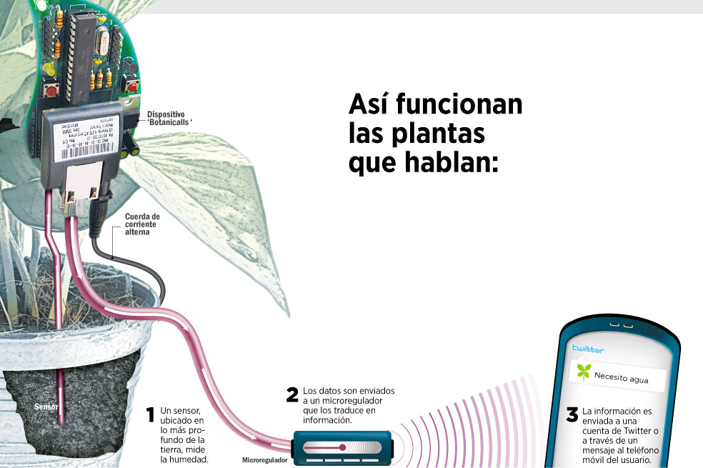 Y ahora, para pedir agua… las plantas envían un tuit