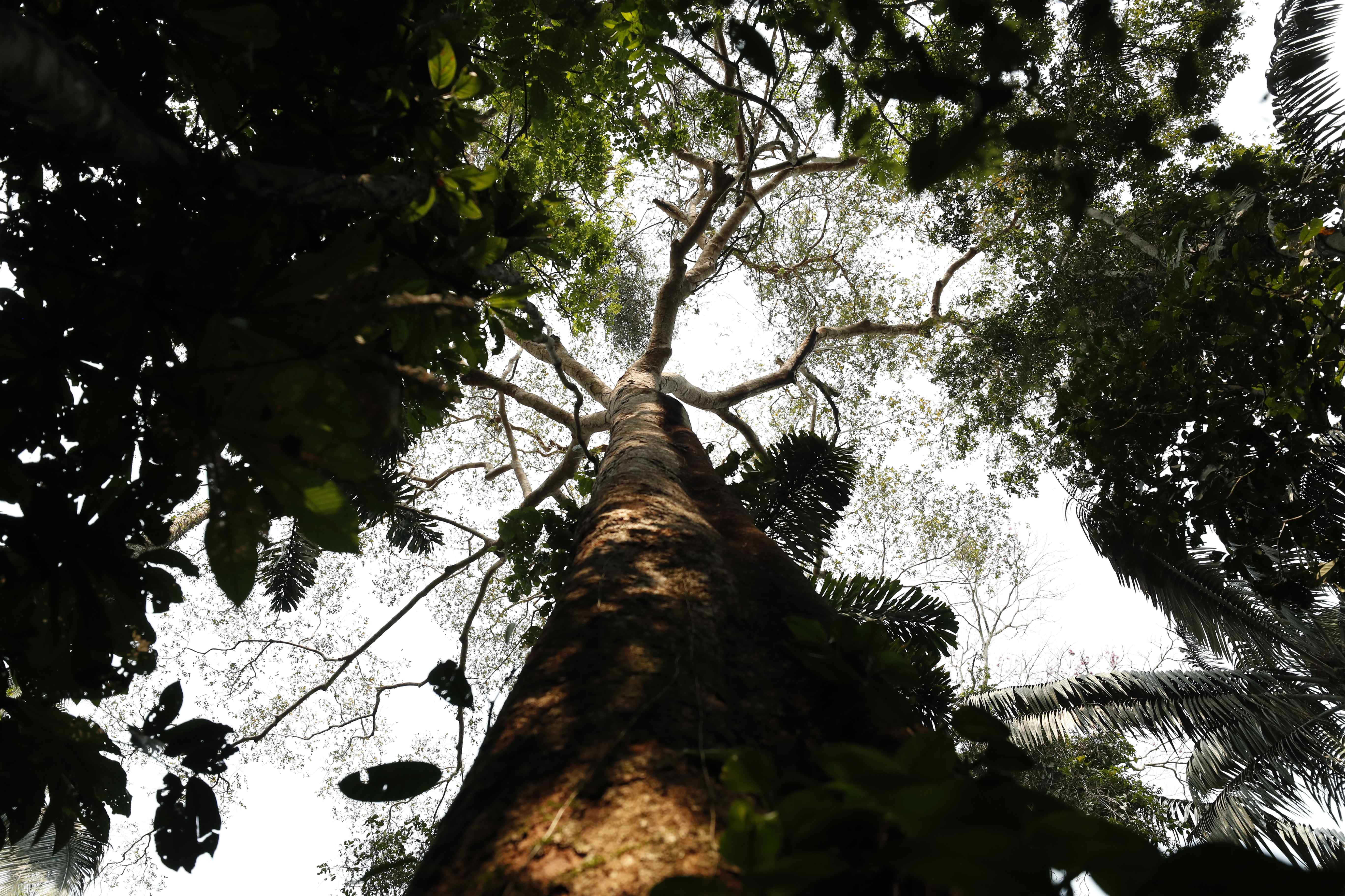 Festival Cordillera, el primero con una conciencia ambiental para América Latina