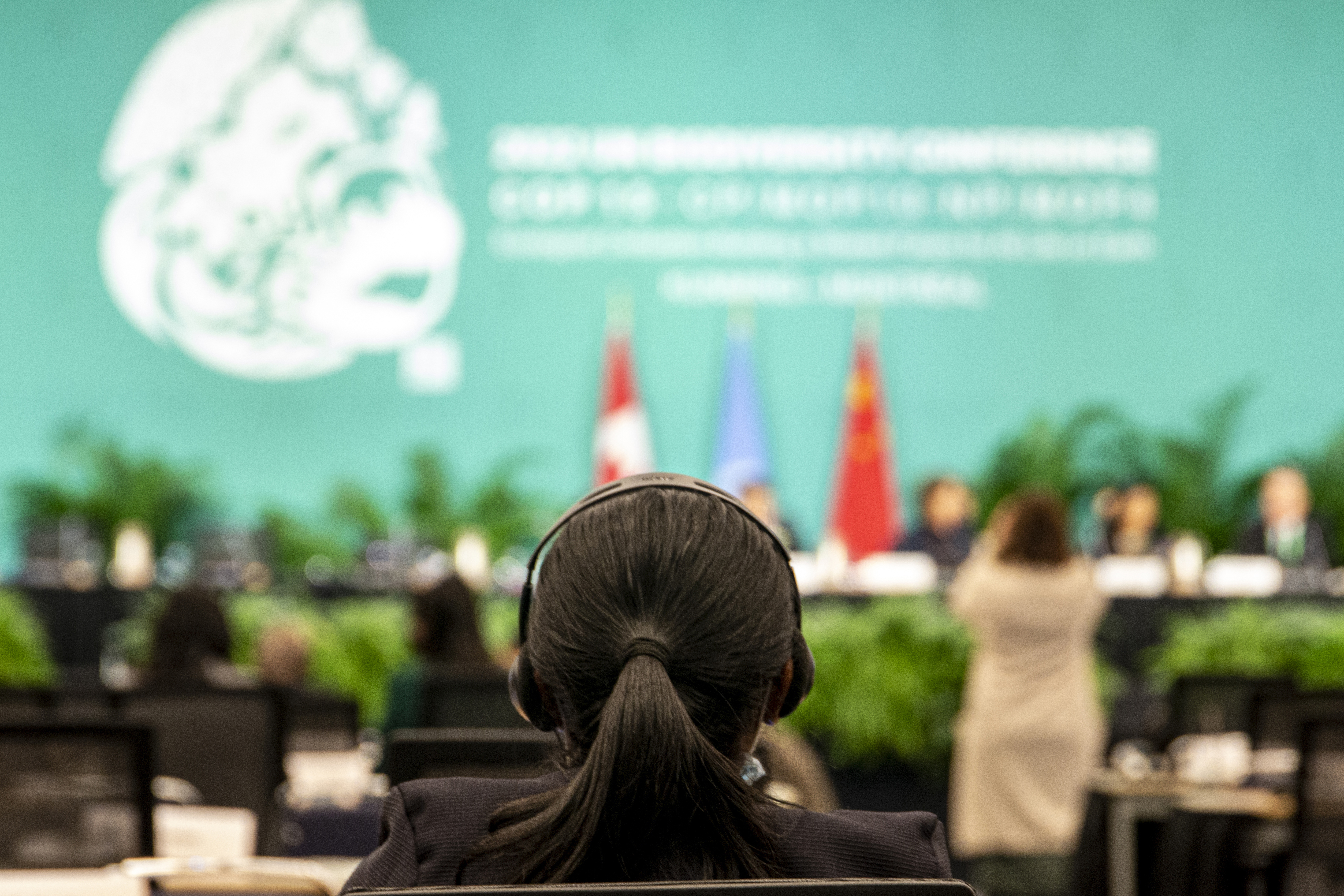 Proyecto de acuerdo sobre biodiversidad de ONU protege 30% del planeta