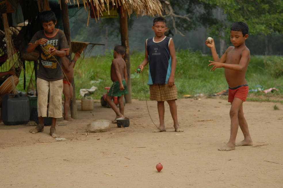 Alimentación de la Amazonia, en riesgo