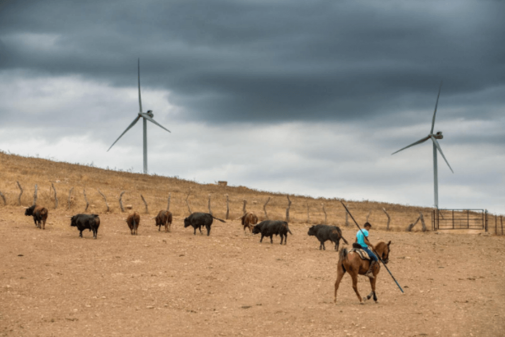 ANLA aprueba licencia ambiental a proyecto de energía eólica en La Guajira