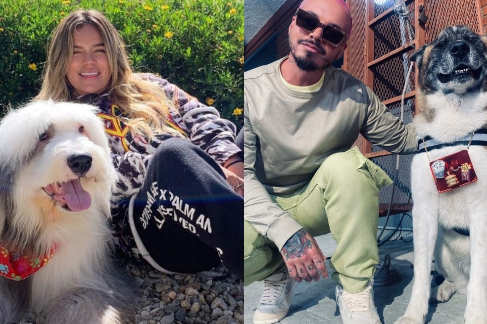 (Video) Las mascotas de Karol G, Juanes, J Balvin y más cantantes colombianos