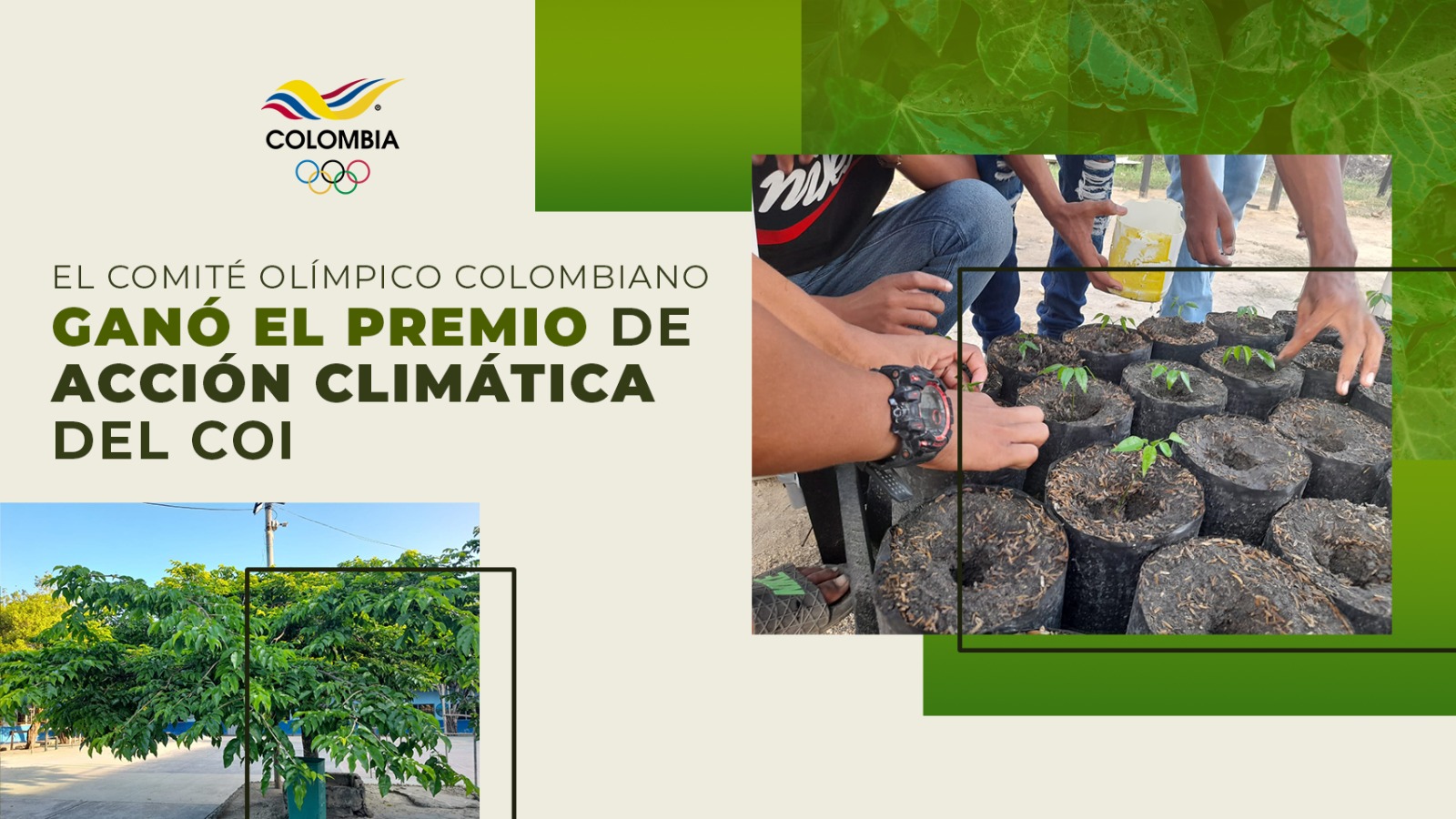 Comité Olímpico Colombiano ganó premio a la Acción Climática del COI