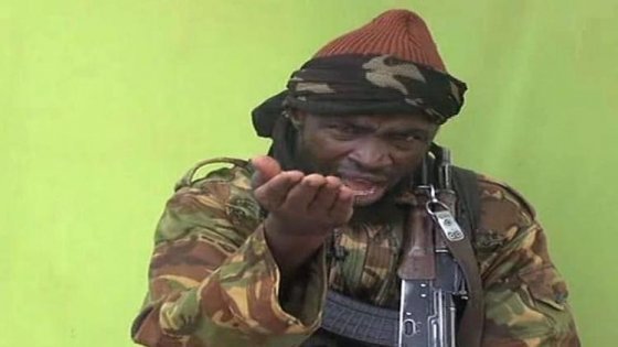 Consejo de Seguridad de la ONU condena actos terroristas de Boko Haram