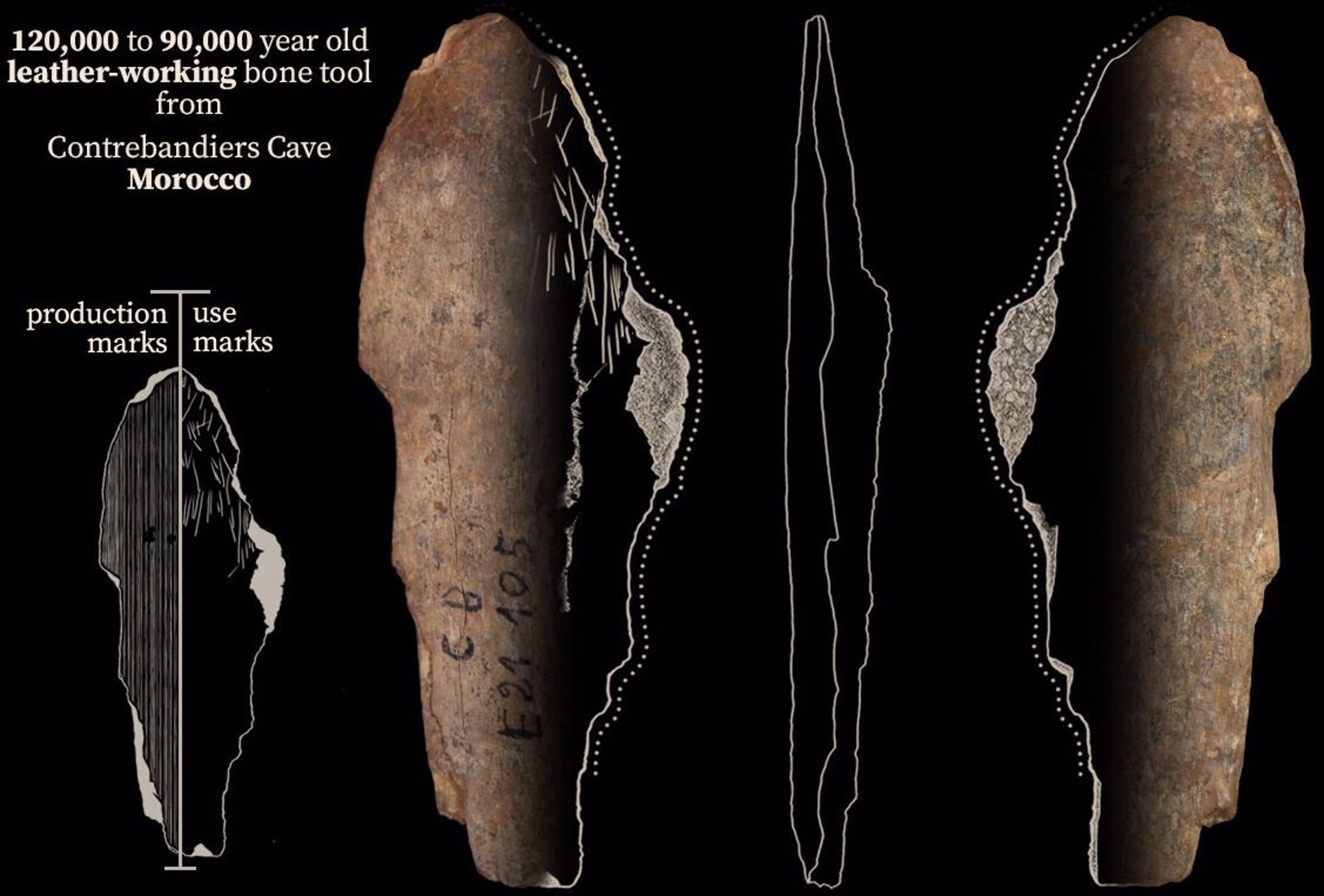 Encuentran evidencia de que los humanos fabricaban ropa desde hace 120.000 años