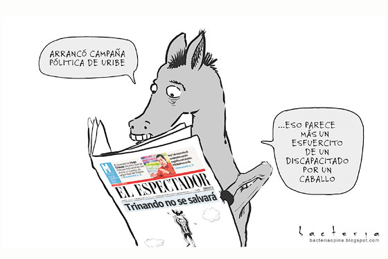 Caballo discapacitado