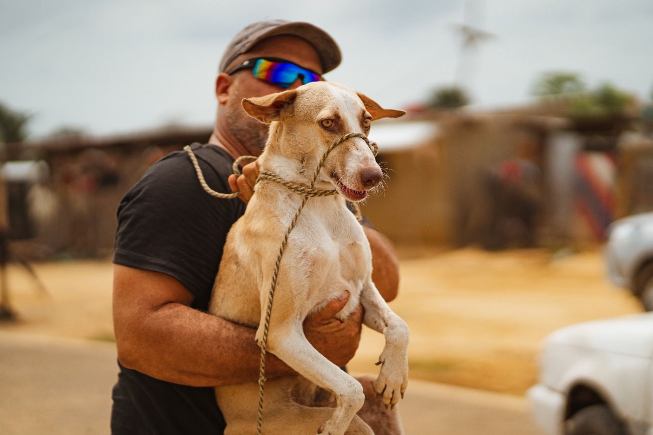 Álvaro José Miranda se dedica al rescate de animales callejeros en Riohacha