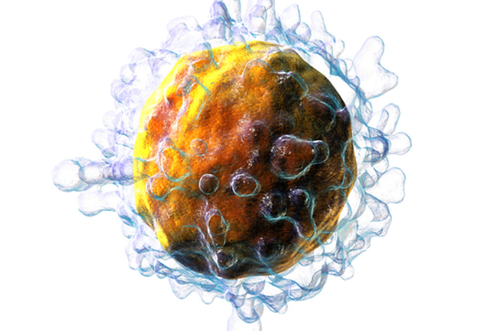 Células mutantes para combatir el cáncer