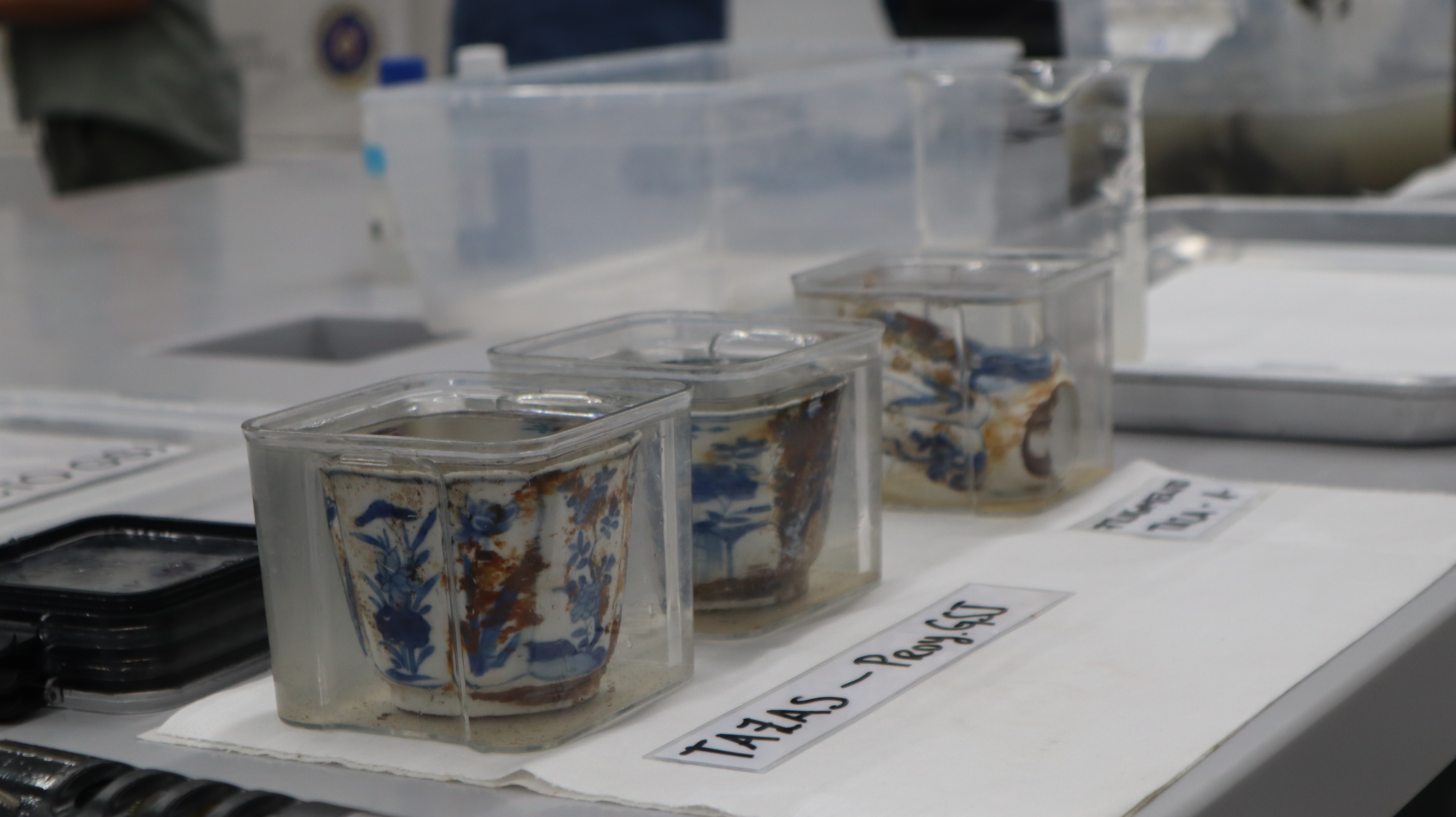 ELESPECTADOR/ En Cartagena, Colombia. Noviembre 22/2025 En el  Laboratorio de Patrimonio Cultural Sumergido del Centro de Investigaciones Oceanográficas e Hidrográficas del Caribe se encuentran los objetos arqueológicos del naufragio del galeón San José, recolectados hace dos  días por el Estado colombiano, para su conservación y estudio científico.  Allí se encuentra un cañón de bronce en  inmersión en una piscina, manteniendo condiciones análogas a las del entorno marino para asegurar su estabilidad inicial. Adicionalmente, el ICANH informó que en este mismo sitio  se conservan y estudian dos tazas de porcelana.
Las tres macuquinas, monedas,  que salieron del mar,  fueron llevadas al Museo Nacional de Colombia, donde permanecen en condiciones medioambientales adecuadas. ( Photo Pedro Mendoza)