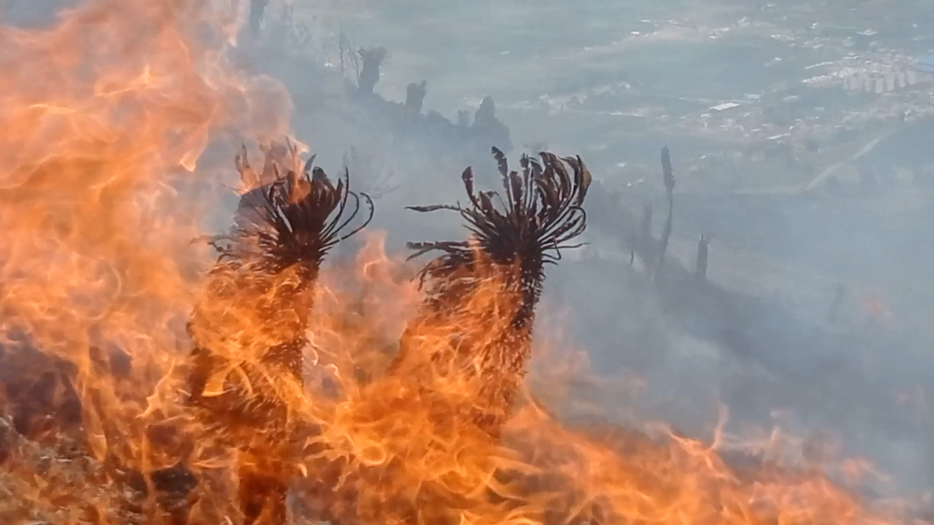Incendio páramo Aquitania