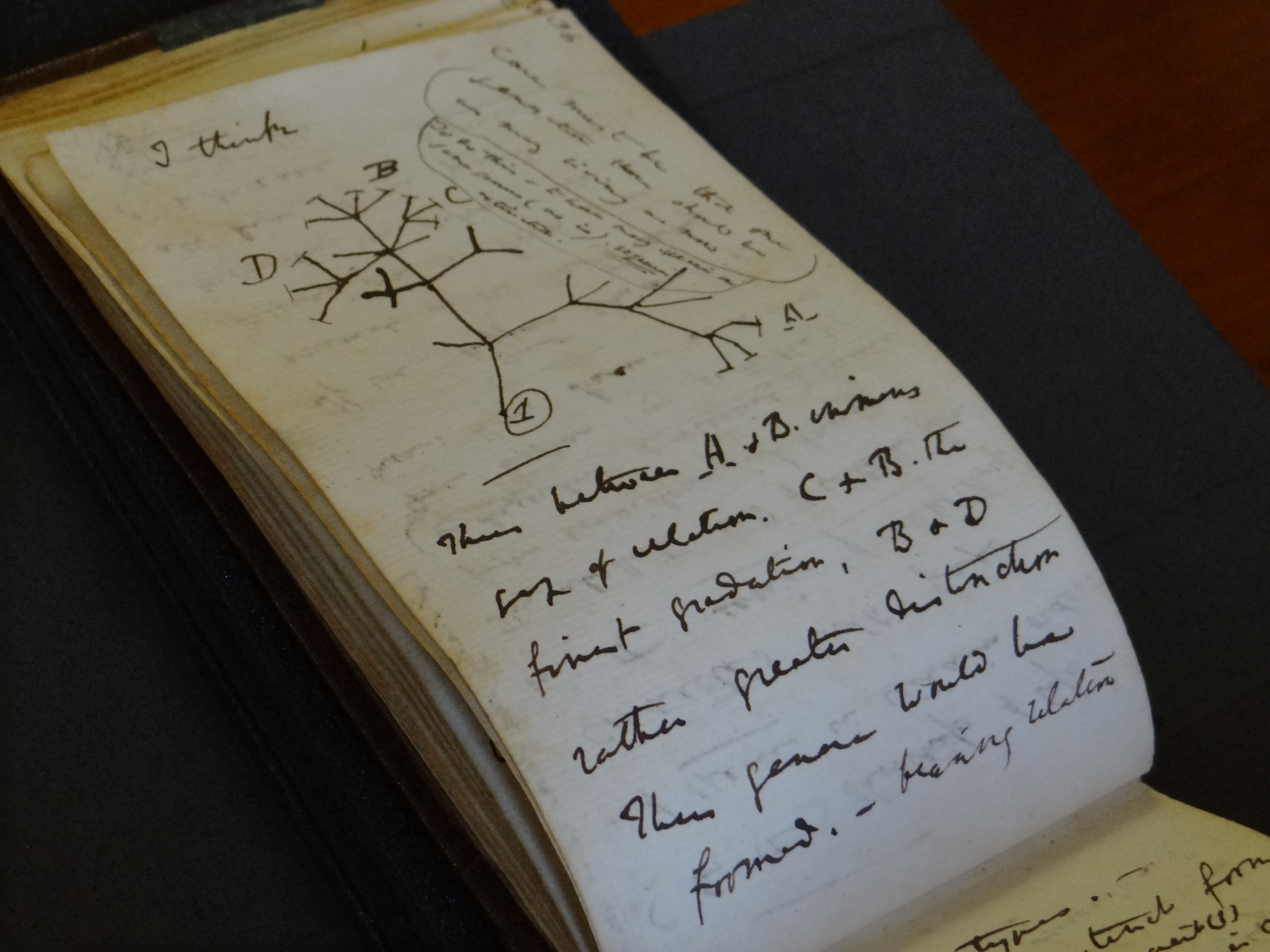 El regreso de dos cuadernos de Darwin desaparecidos hace 21 años