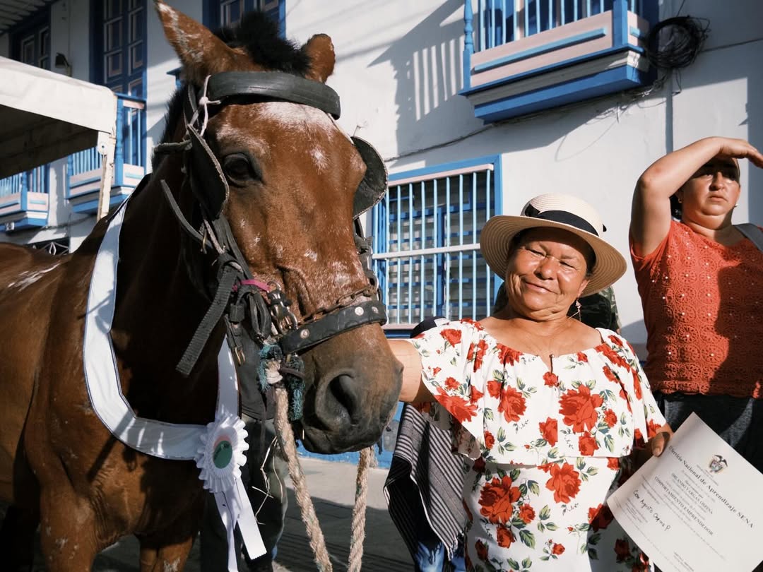 Familias en Circasia se despiden de sus caballos de carga tras años de trabajo