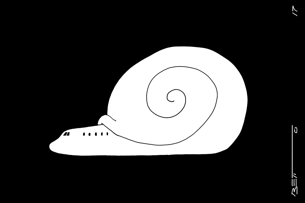 Paro de Pilotos
