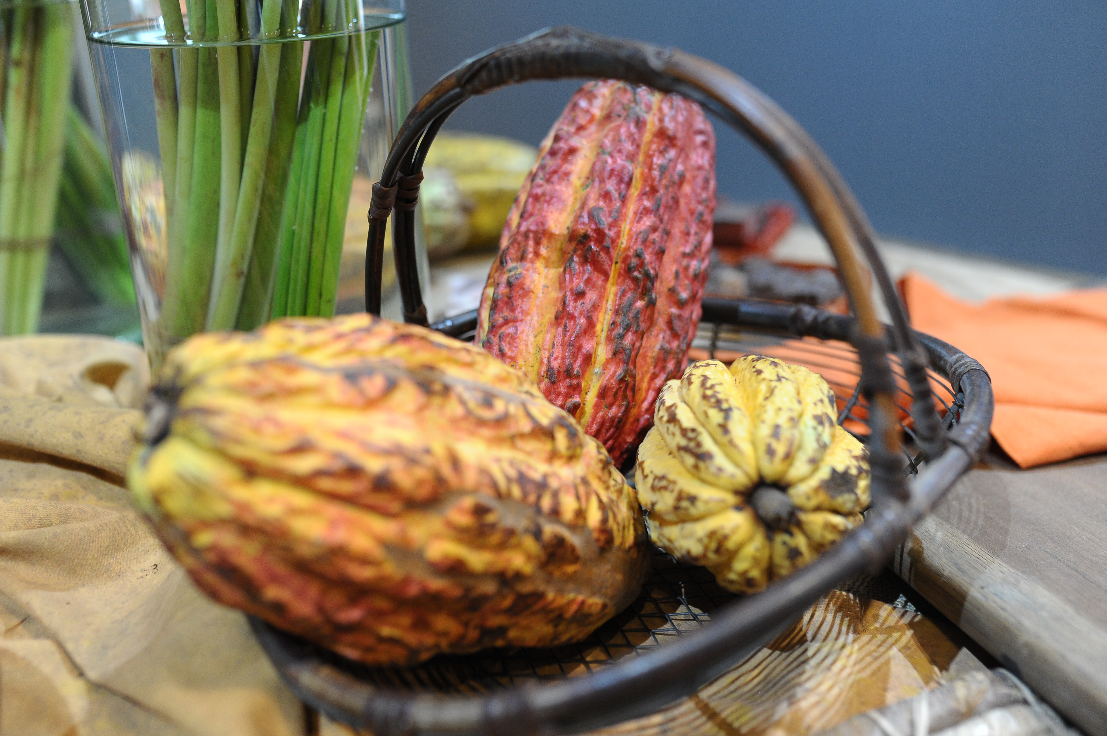 Nutresa suscribe acuerdo por $1,5 billones que beneficiará a cacaoteros