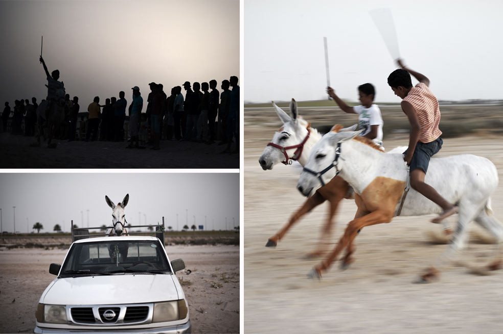 La carrera de los burros