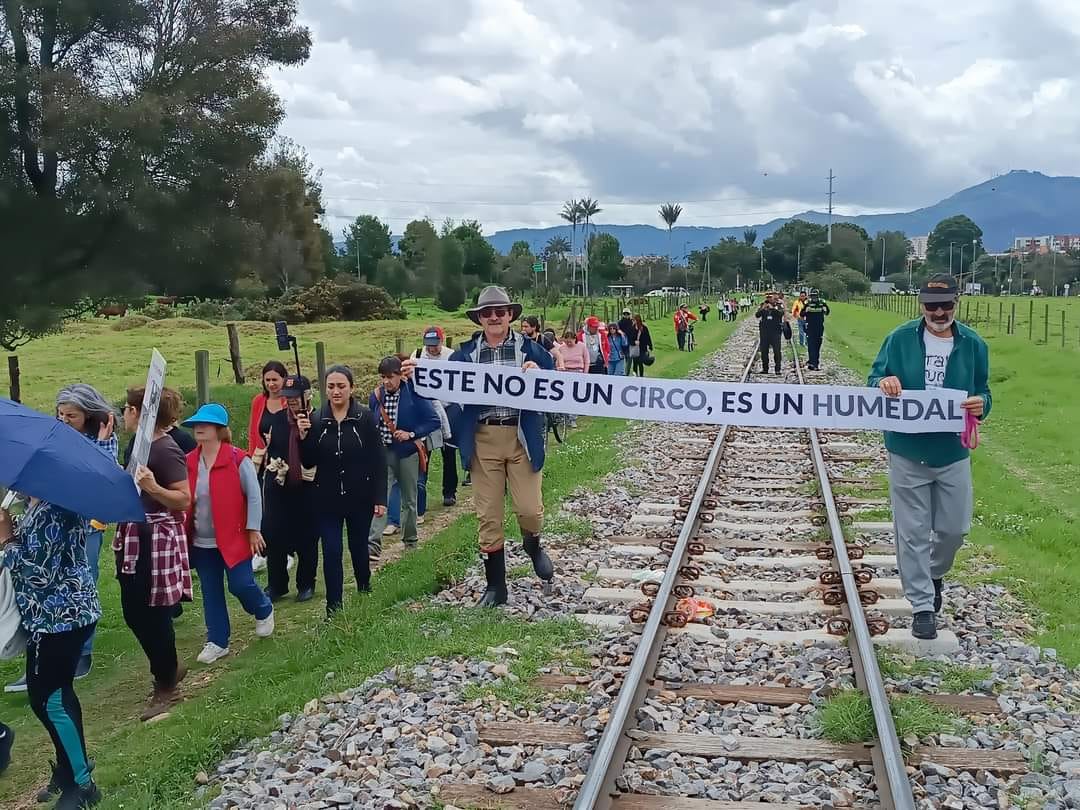 ¿Humedal o potrero? La puja por el predio donde se presenta el Circo del Sol