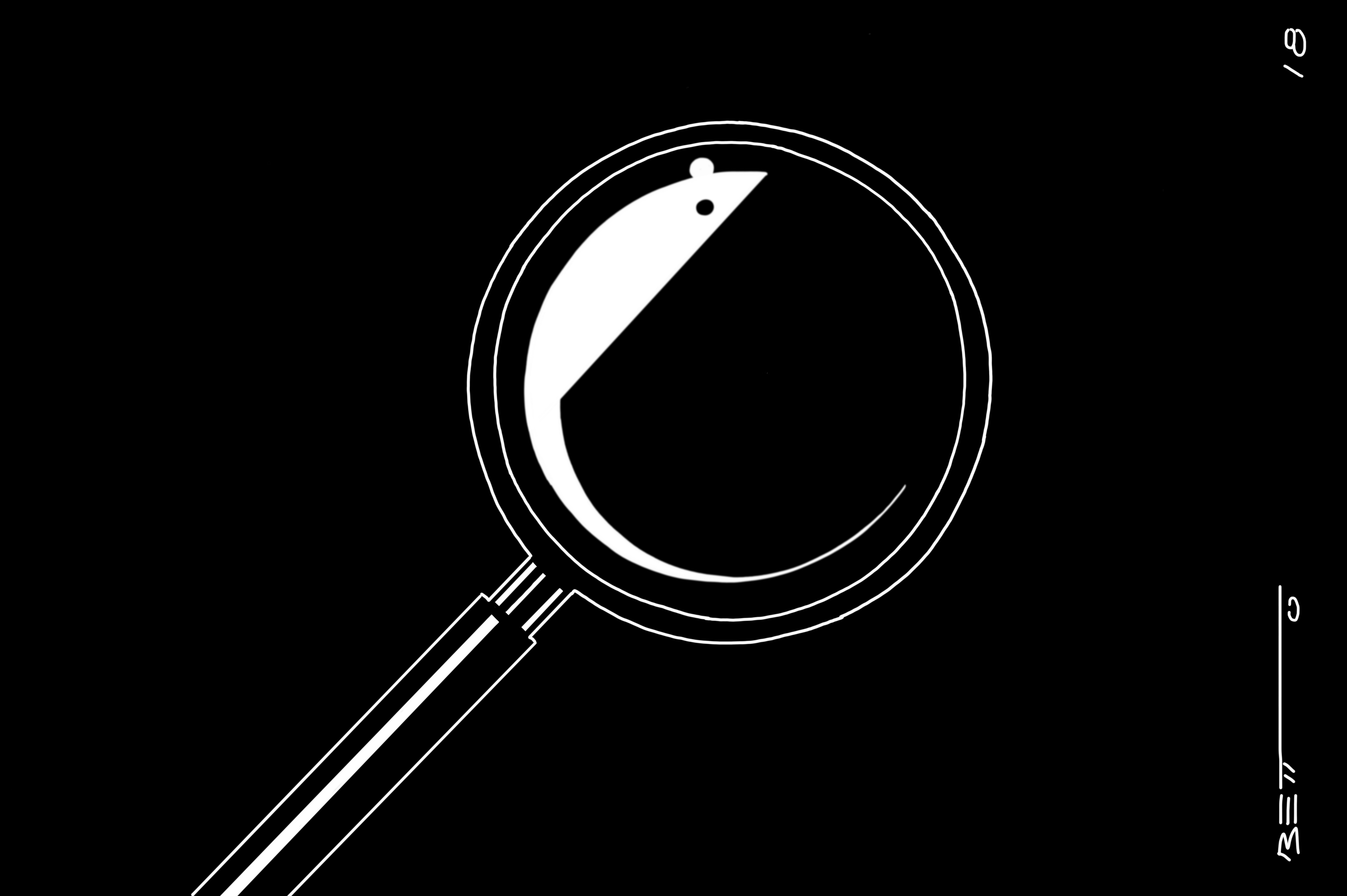 Investigación exhaustiva