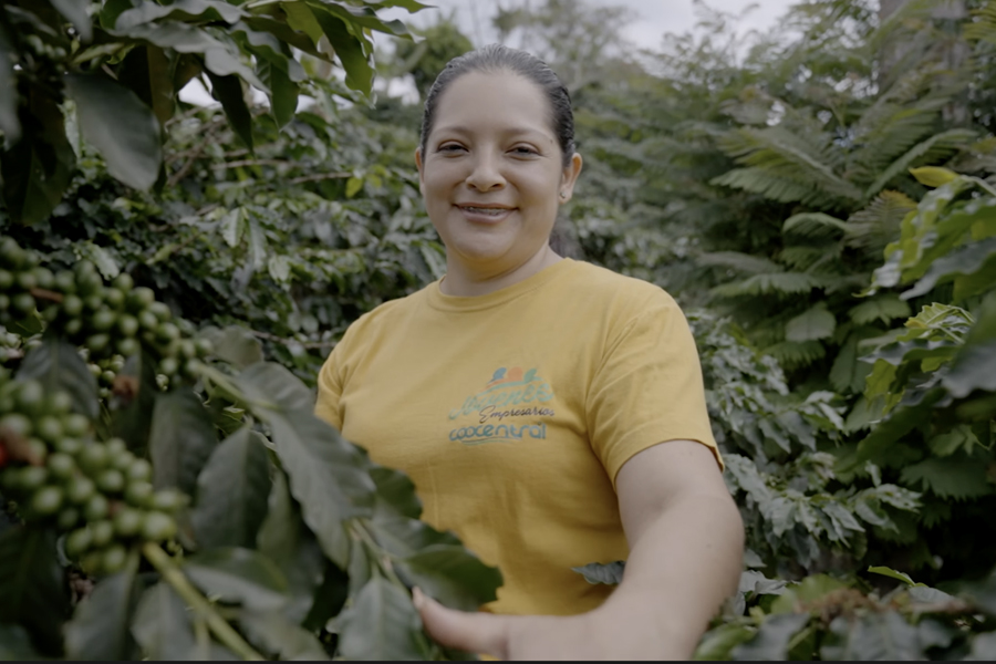 Equidad para mujeres y jóvenes en las cadenas de suministro agrícola