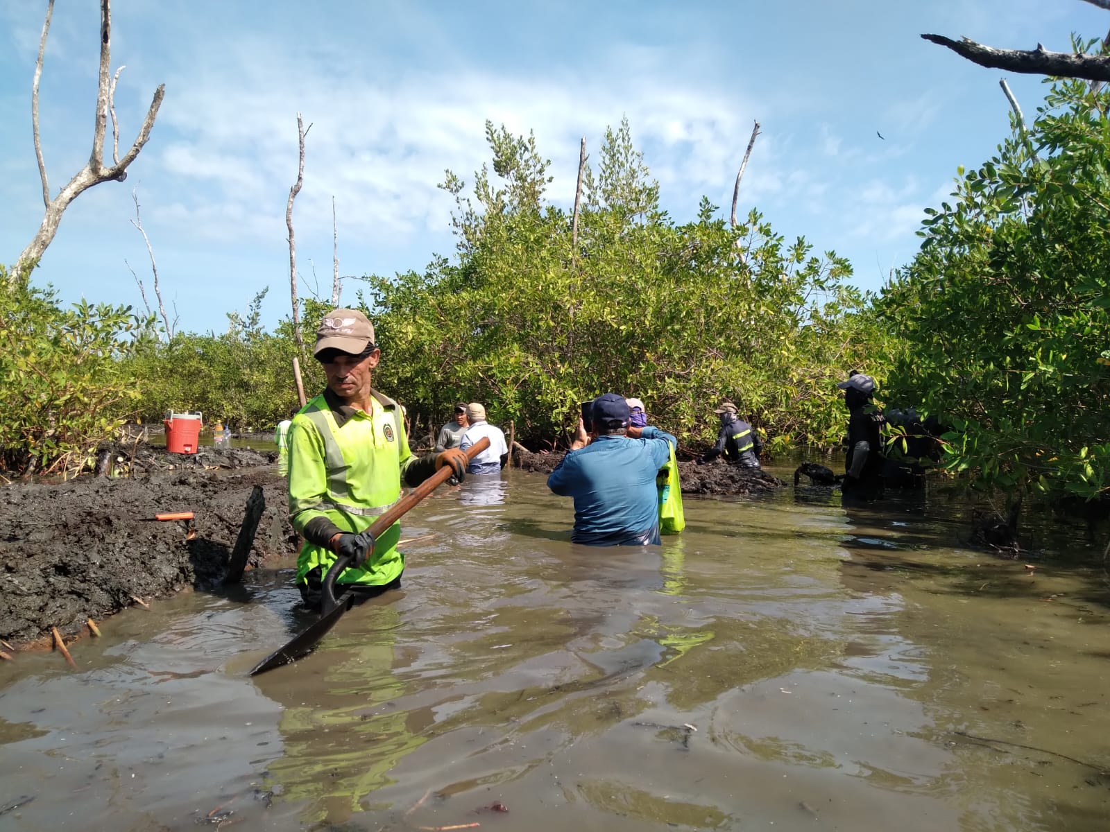Paisajes Sostenibles-Herencia Colombia contribuye a la restauración de los manglares