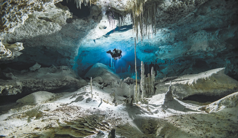 Los cenotes de México están en riesgo por contaminación agrícola