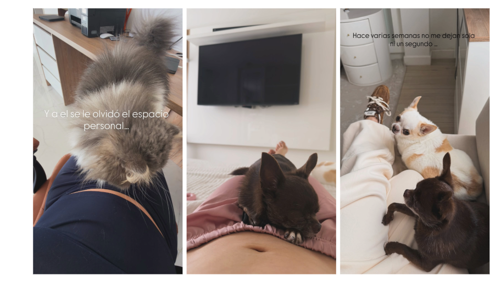 Lina Tejeiro enterneció con las primeras fotos de su embarazo. Así luce en esta nueva etapa