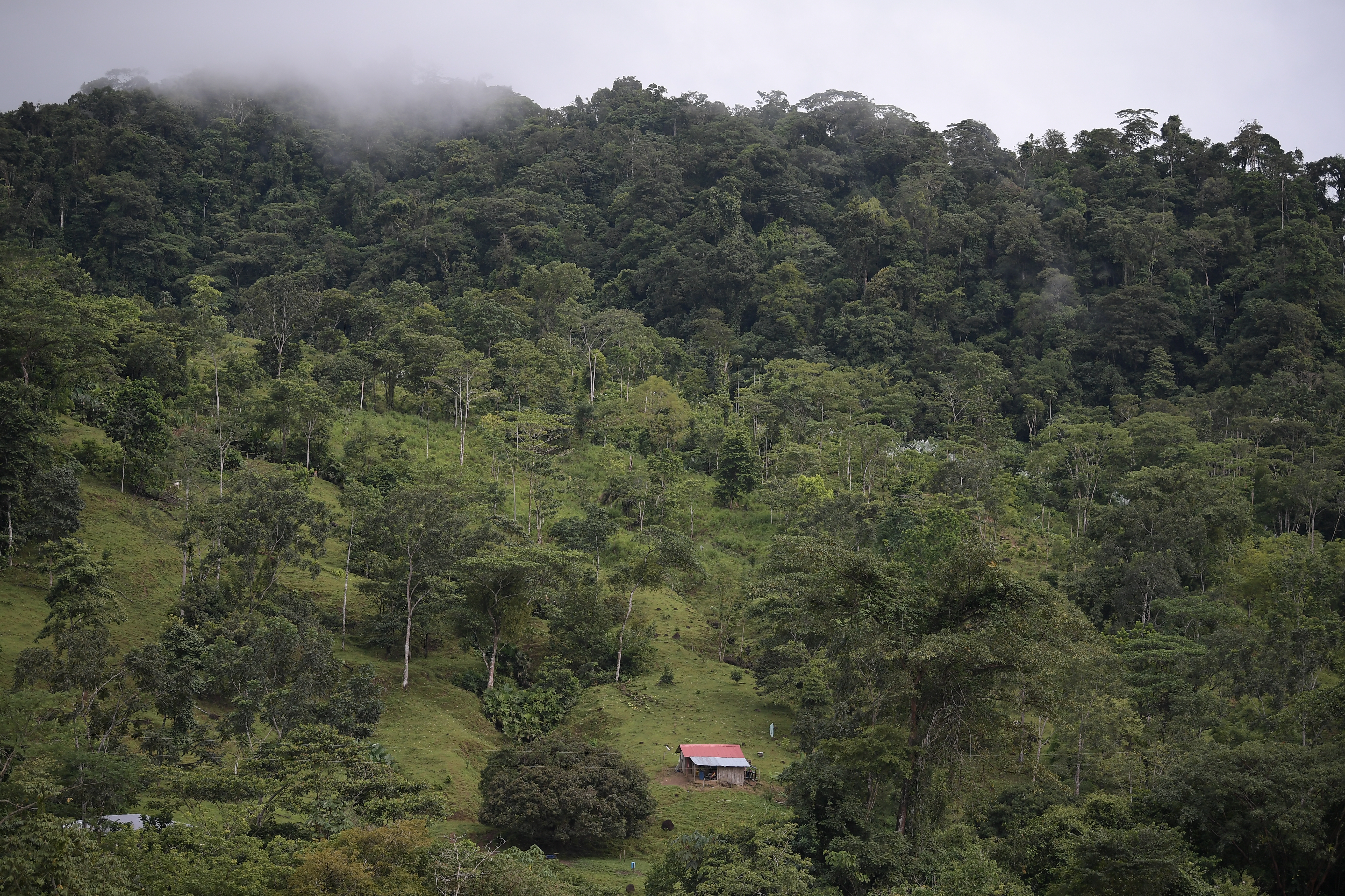 Diferentes aspectos de este Espacio Territorial de Capacitación y Reincorporación (ETCR), ubicado en el departamento de Antioquia: Habitantes, rios, casas, proyectos productivos como la cria de gallinas y la piscicultura (tilapia roja).