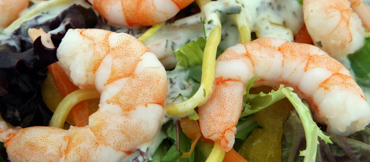 Camarones: 3 opciones para preparar este ingrediente y disfrutar de su sabor