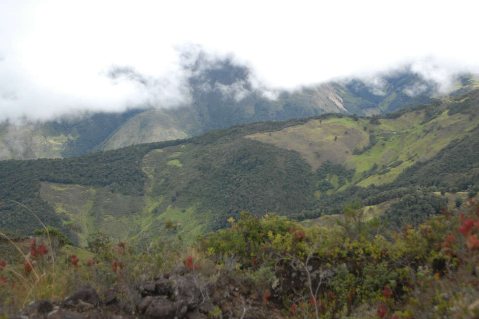 ¿El medio ambiente gana una batalla en Santurbán?