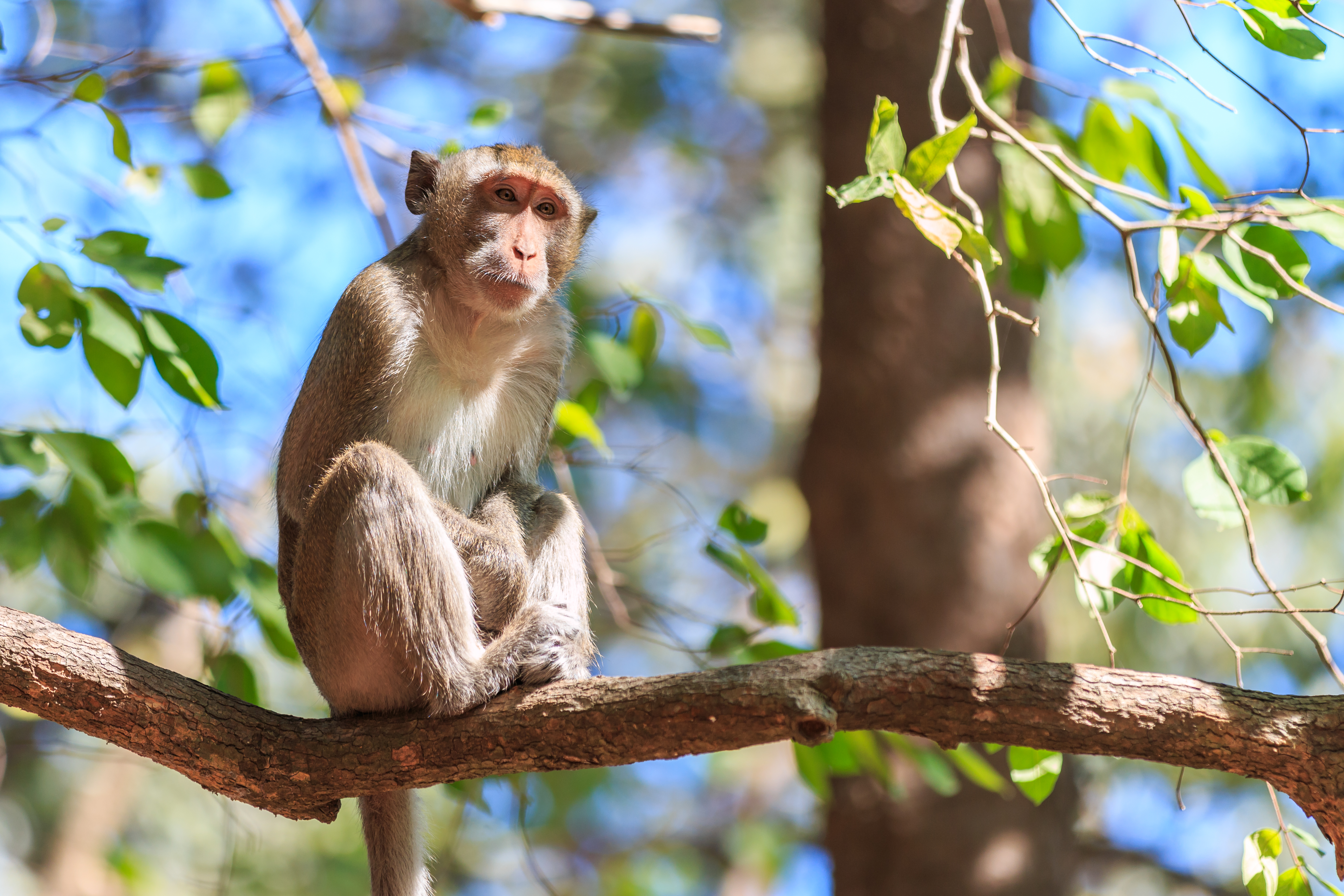 Crisis climática y de biodiversidad: ¿Cómo pasar del compromiso a la acción?