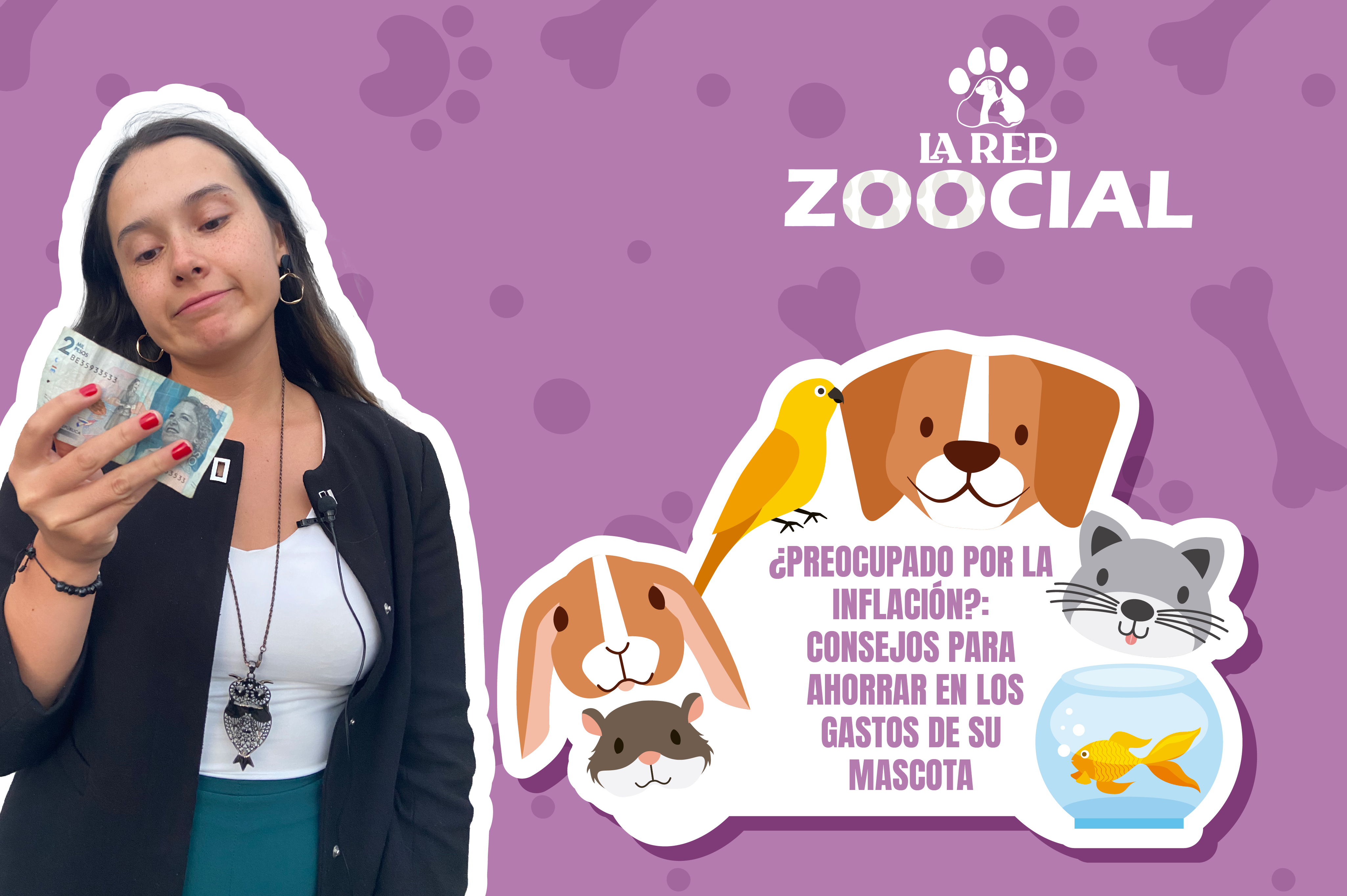 ¿Preocupado por la inflación?: consejos para ahorrar en los gastos de su mascota