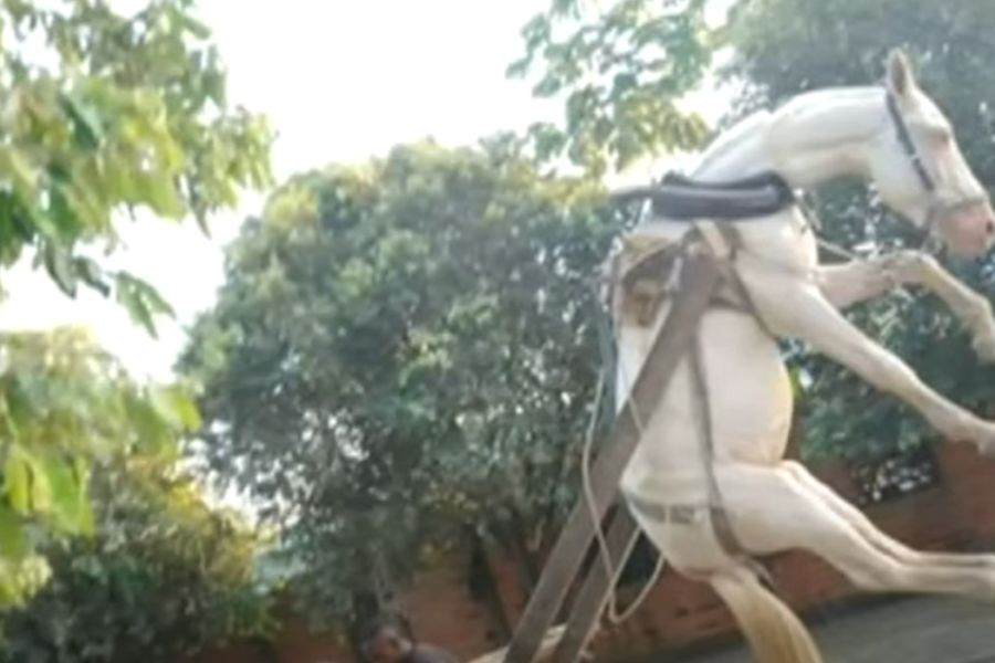 Caballo quedó en el aire tras ser levantado por una carreta cargada de ladrillos