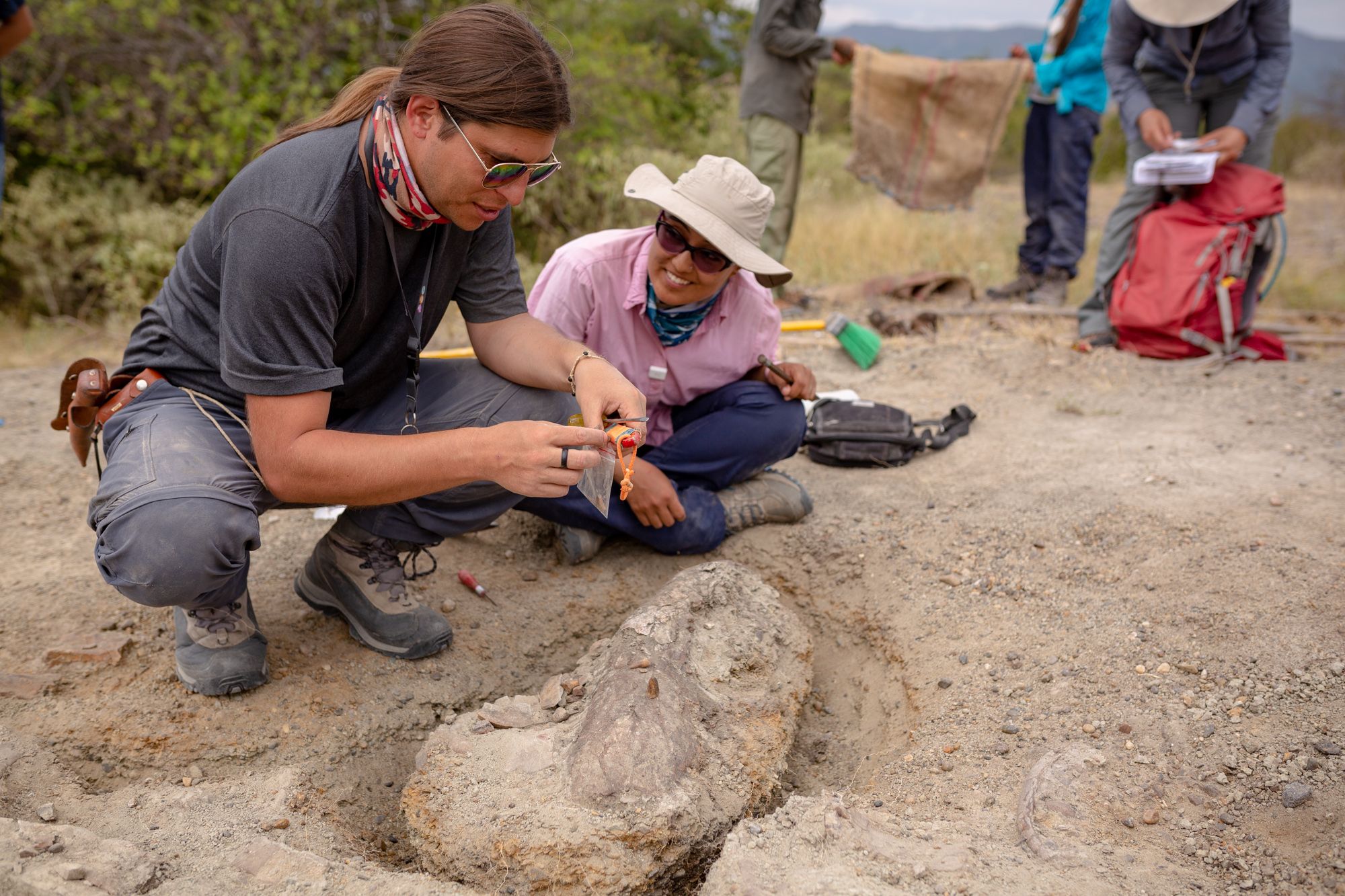 Javier Luque (izquierda) y Catalina Suarez (Servicio Geológico de Colombia)
excavando fósiles en los Andes colombianos.