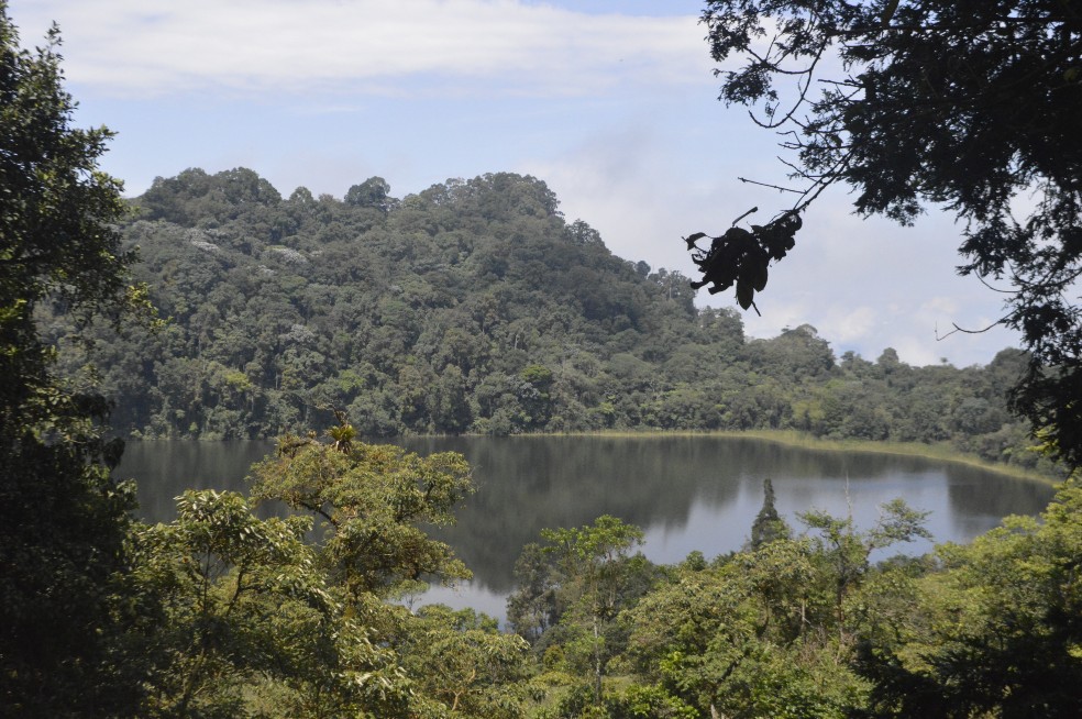 La laguna de Pedro Palo es la mayor reserva hídrica de la provincia del Tequendama. Asimismo, tiene gran importancia histórica pues en esta región se llevaron a cabo los primeros viajes de la Expedición Botánica.