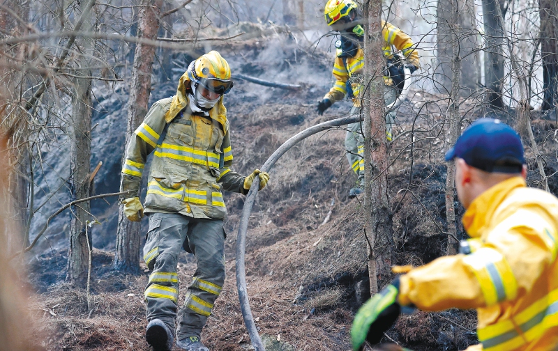(Imagen de referencia) En total, a lo largo de septiembre, los incendios han afectado 19 mil hectáreas. Para ponerlo en perspectiva, esto corresponde a 168 veces el área del Parque Simón Bolívar en Bogotá. EFE/ Mauricio Dueñas Castañeda