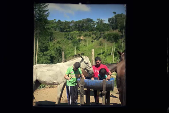 Familias desplazadas regresan a cuidar flora y fauna de sus tierras