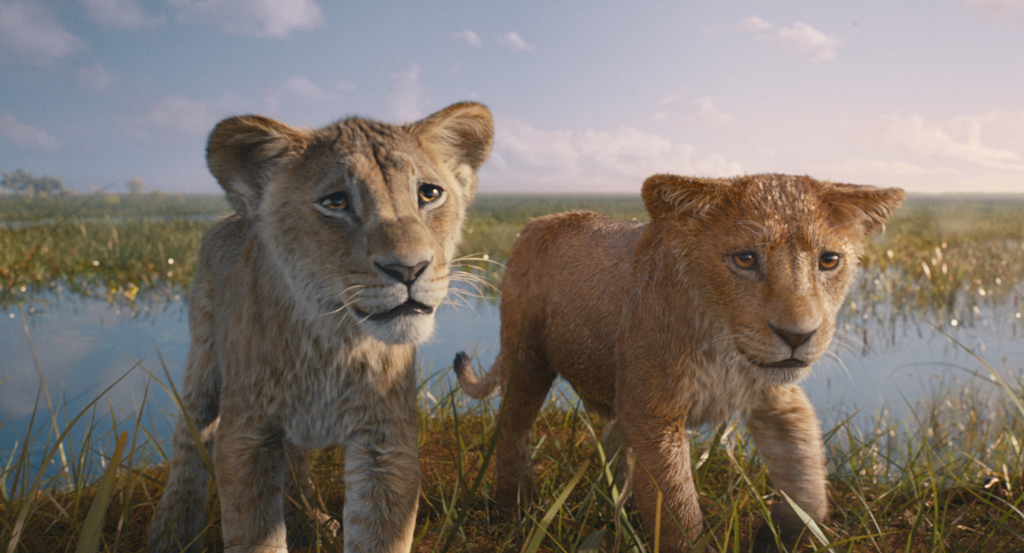 Mufasa y Scar, el origen de la maldad y el rugido de la traición
