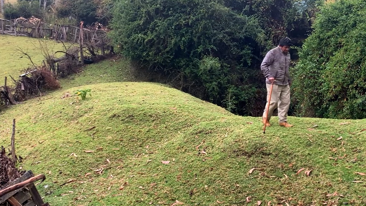 Tejiendo pasos