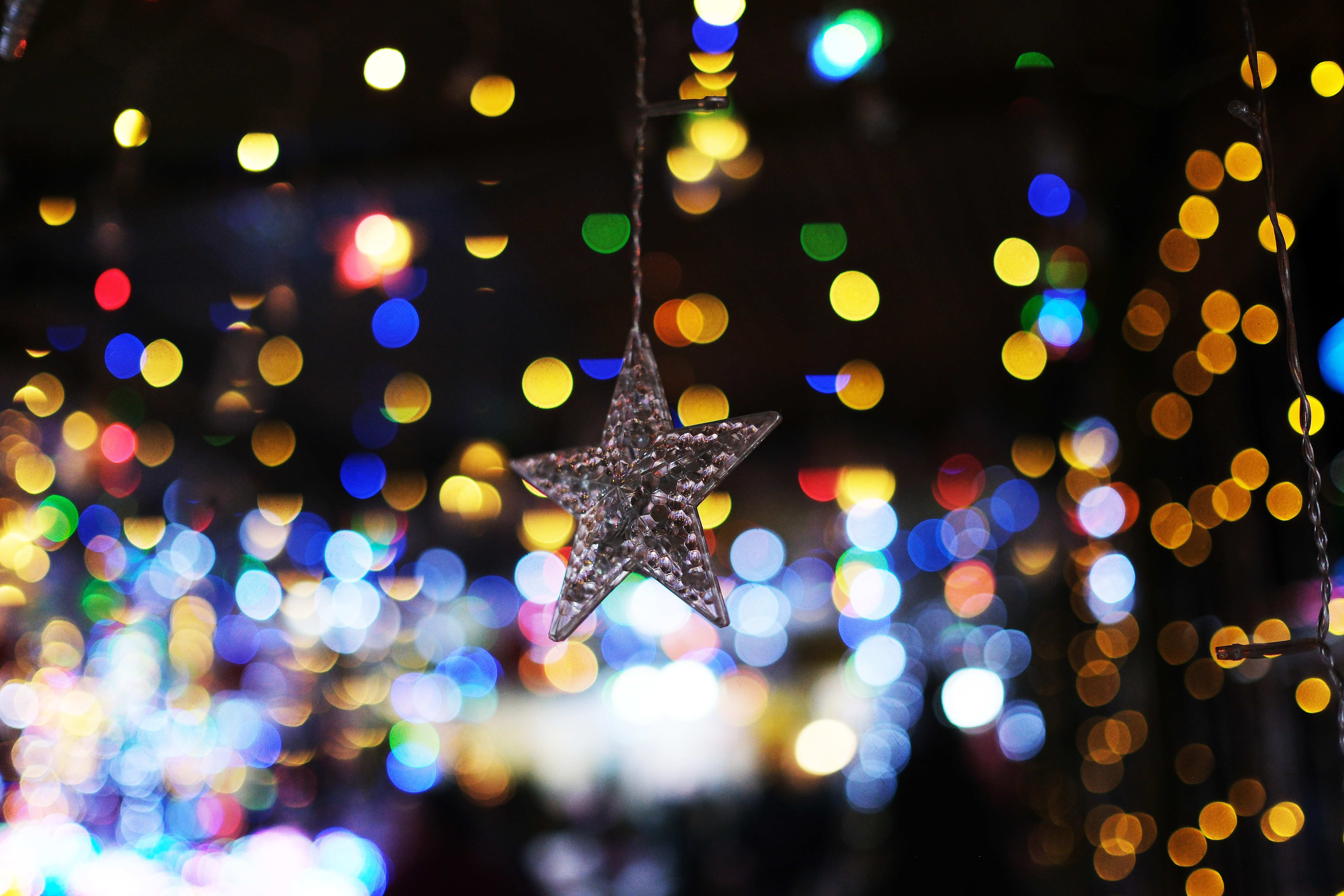 Una Navidad para las personas trans: lo que propone NaviTrans cada diciembre