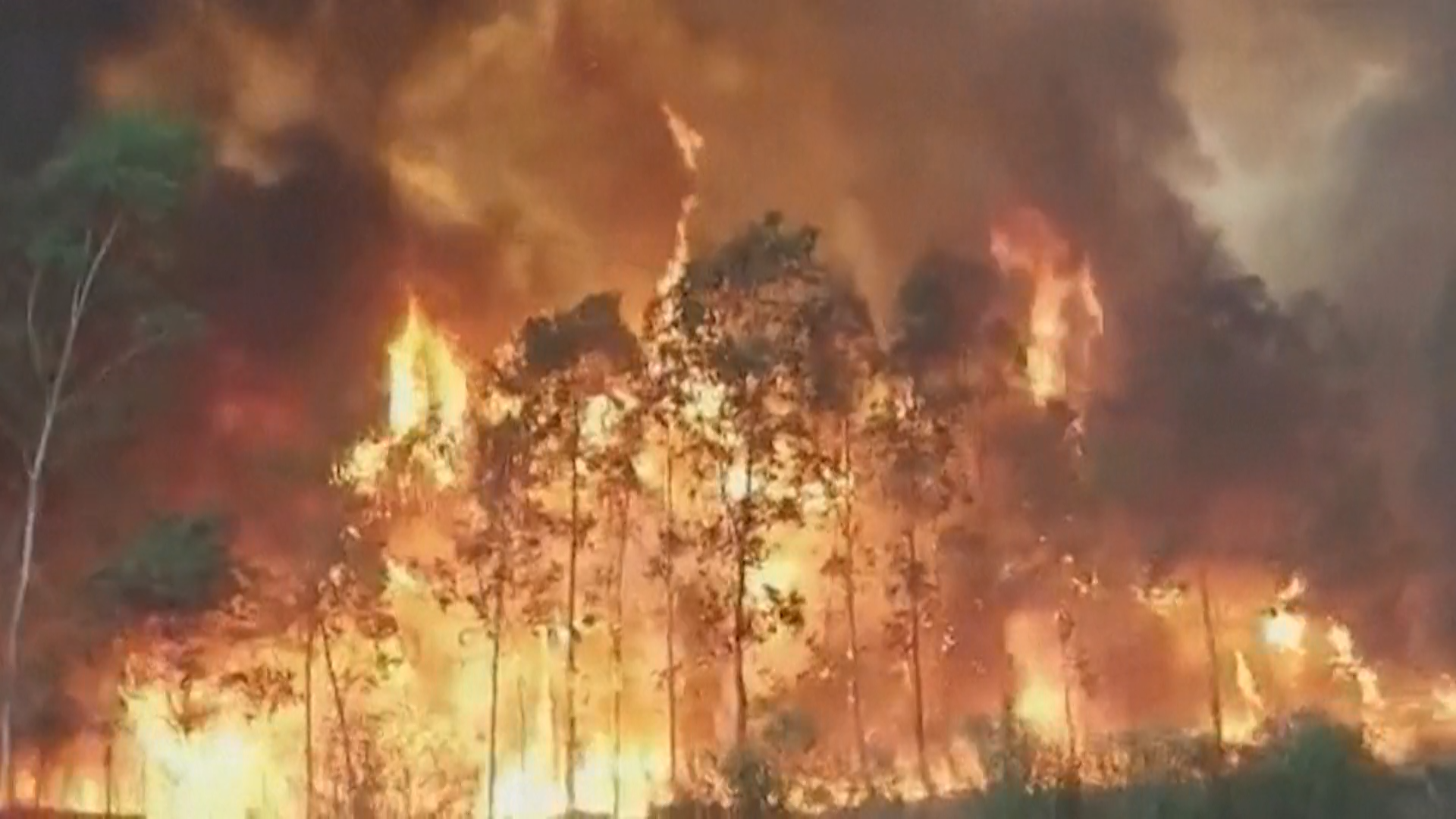 Incendios forestales en Argentina queman alrededor de 6.000 hectáreas
