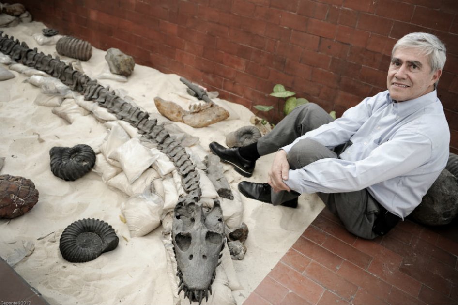Nueva casa para los dinosaurios