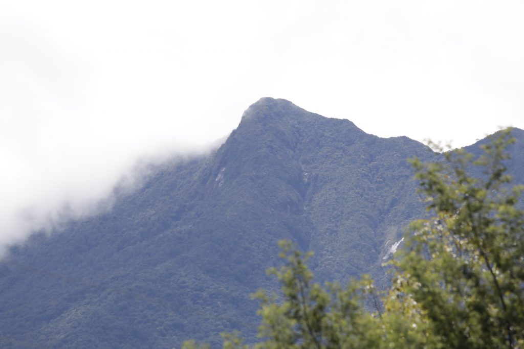 Cornare ha declarado un 22% de su territorio como área protegida