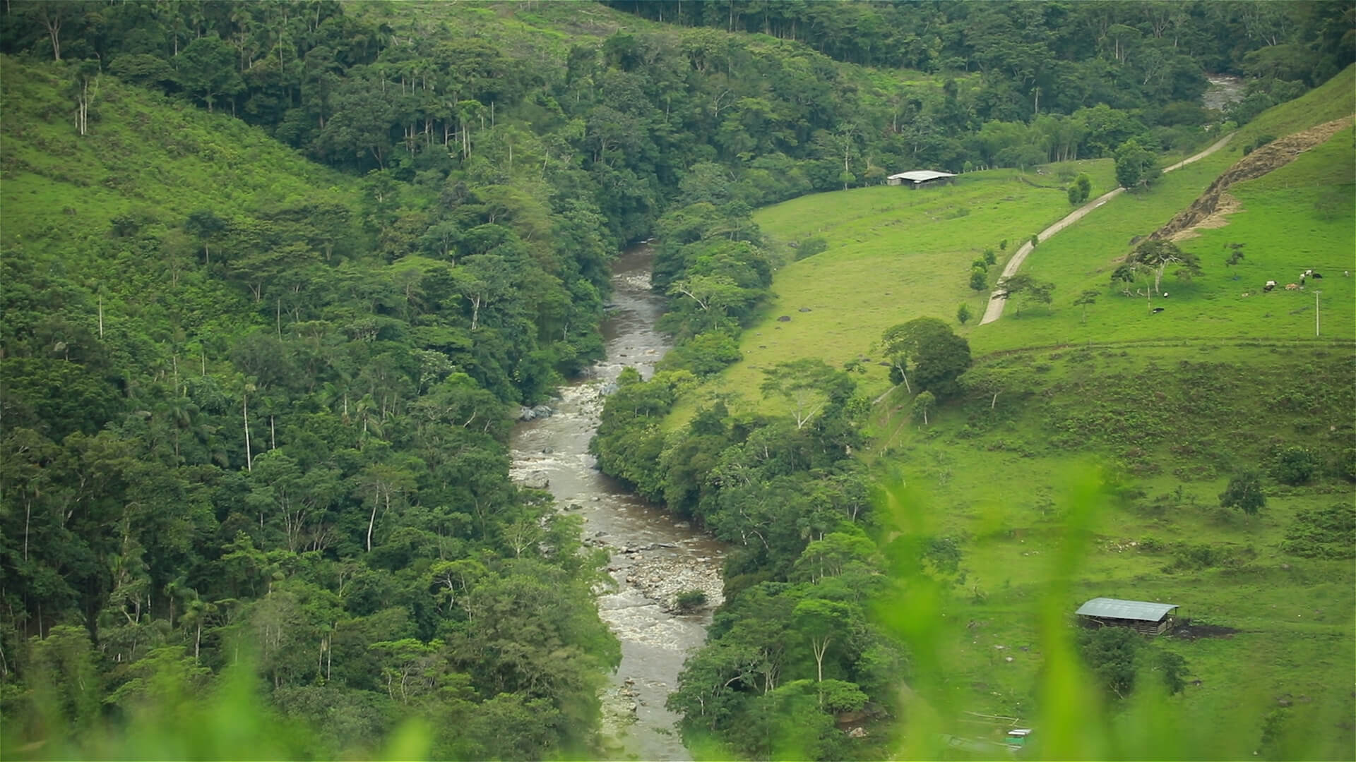 Ecoturismo, la apuesta para frenar la deforestación en Caquetá
