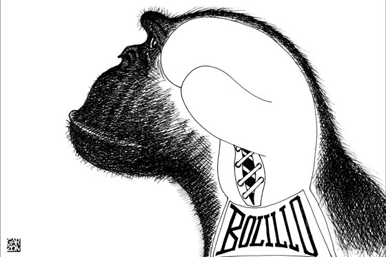 Cartones de Garzón
