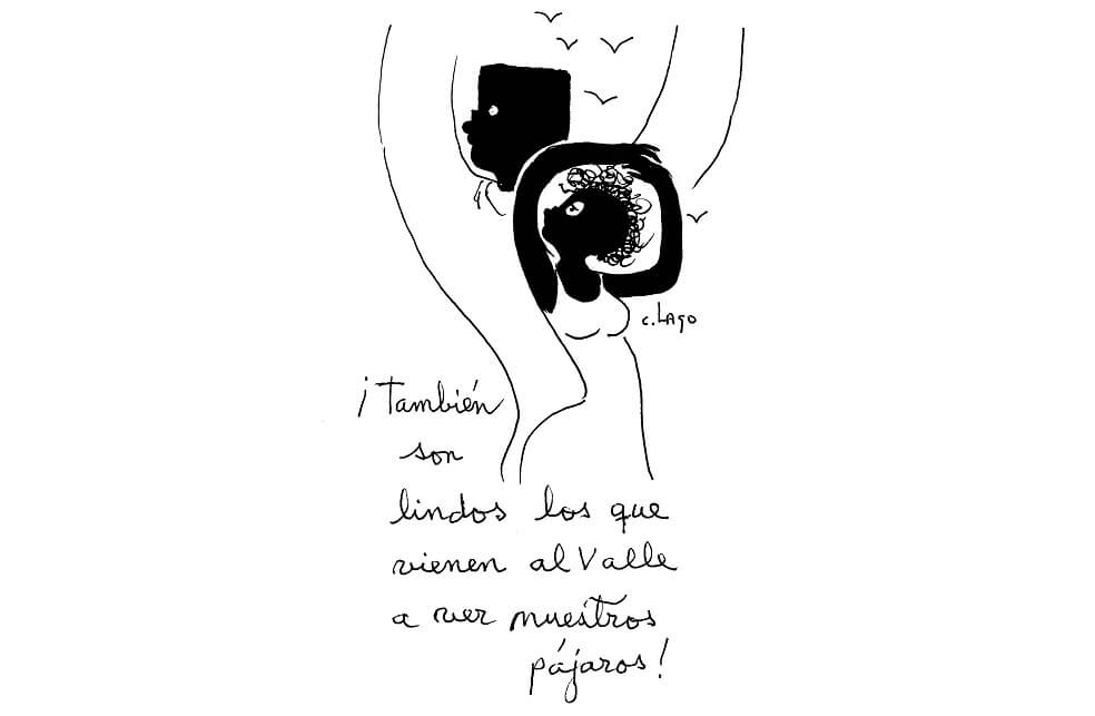 Nieves