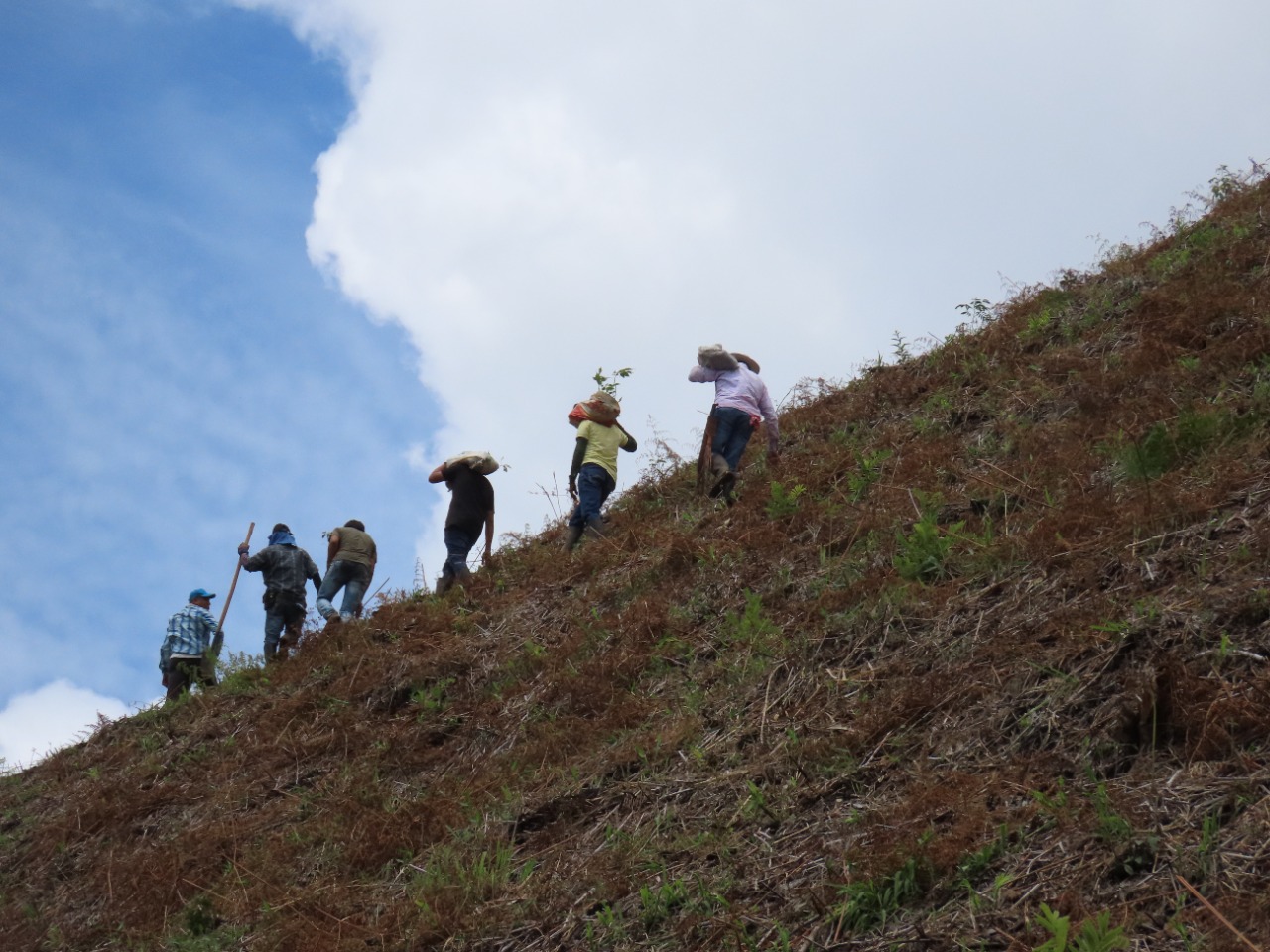 Nevile Ash, del Programa de las Naciones Unidas para el Medio Ambiente, comunicó al resguardo que estas acciones: "contribuyen a aumentar la conciencia del papel de conservación desempeñado por pueblos indígenas, y ayudan a destacar la importancia de estas iniciativas para el mantenimiento y el fortalecimiento de la cultura y la protección y el uso sostenible de la biodiversidad”