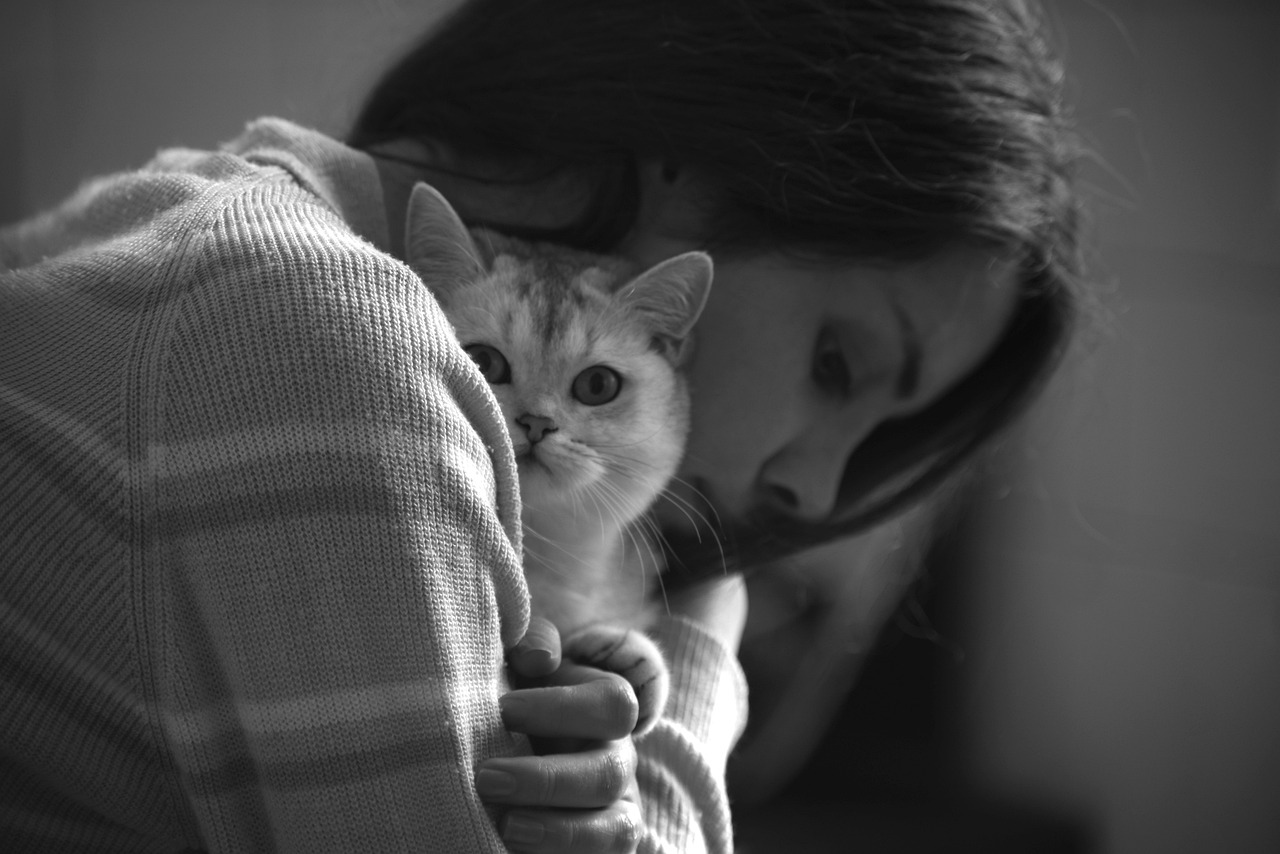 ¿Cómo puedo ayudar a mi gato si se pone nervioso con la pólvora?