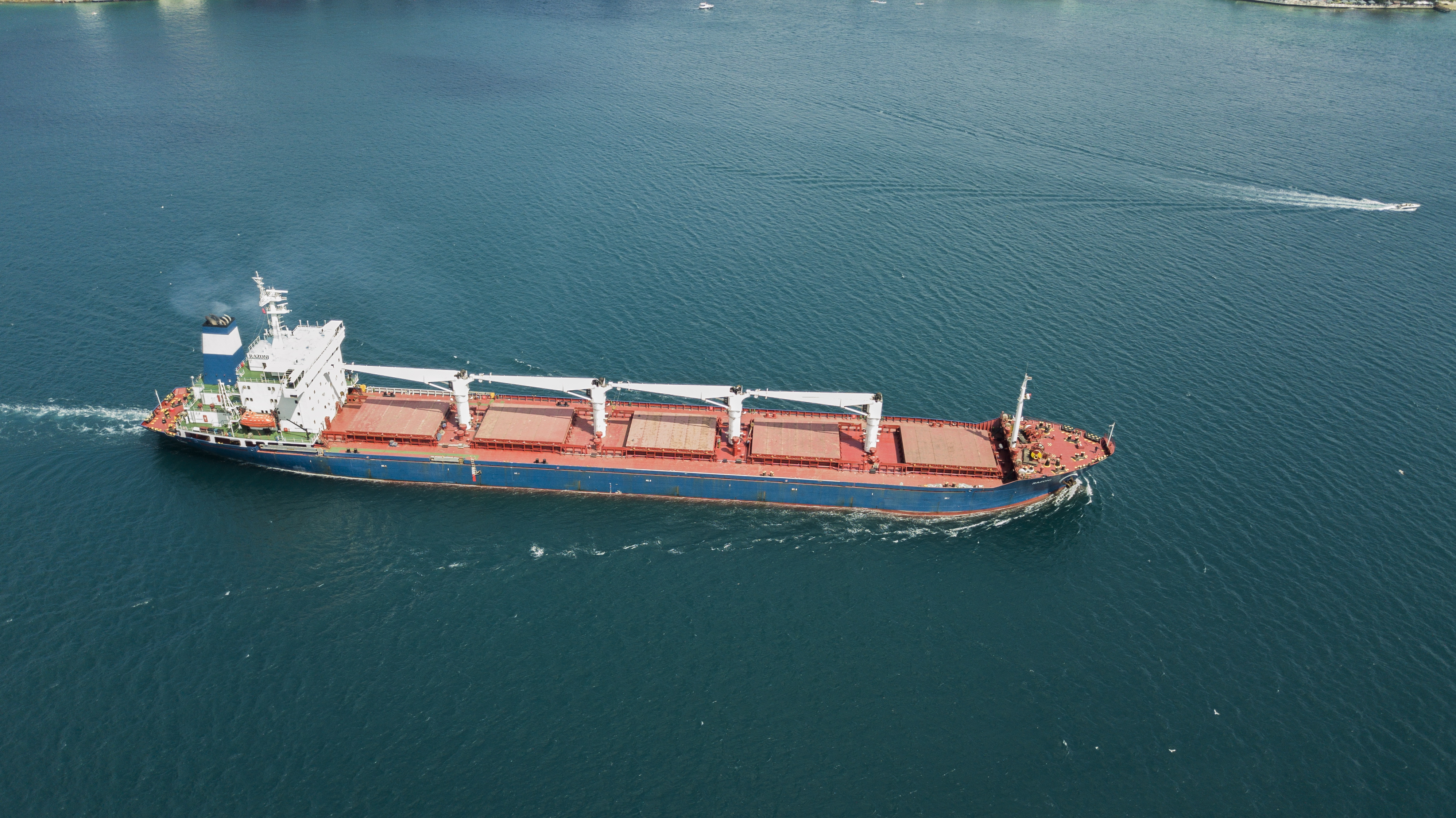 Terminó la inspección del primer barco de granos ucraniano, ¿qué sigue ahora?